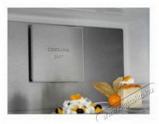 Electrolux LNT7ME32X3 Konyhai termékek - Hűtő, fagyasztó (szabadonálló) - Alulfagyasztós kombinált hűtő - 504401