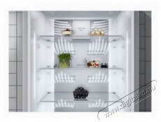 Electrolux LNT7ME32X3 Konyhai termékek - Hűtő, fagyasztó (szabadonálló) - Alulfagyasztós kombinált hűtő - 504401