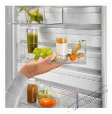 Electrolux LNT7ME32X3 Konyhai termékek - Hűtő, fagyasztó (szabadonálló) - Alulfagyasztós kombinált hűtő - 504401