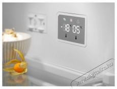 Electrolux LNT7ME36G2 800 Cooling 360 Konyhai termékek - Hűtő, fagyasztó (szabadonálló) - Alulfagyasztós kombinált hűtő - 504402