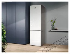 Electrolux LNT7ME36G2 800 Cooling 360 Konyhai termékek - Hűtő, fagyasztó (szabadonálló) - Alulfagyasztós kombinált hűtő - 504402