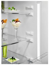 Electrolux LNT7ME36X3 800 Cooling 360 Konyhai termékek - Hűtő, fagyasztó (szabadonálló) - Alulfagyasztós kombinált hűtő - 504403