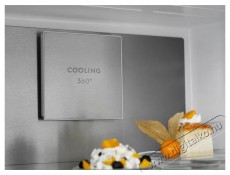 Electrolux LNT7ME36X3 800 Cooling 360 Konyhai termékek - Hűtő, fagyasztó (szabadonálló) - Alulfagyasztós kombinált hűtő - 504403