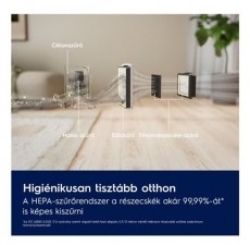 Electrolux 300 EL31C2OG Háztartás / Otthon / Kültér - Porszívó / takarítógép - Porzsák nélküli porszívó - 503502