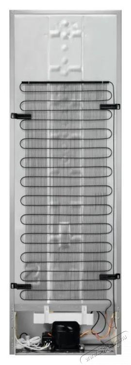 Electrolux LRT7ME39X Hűtőszekr&eacute;ny, 186 cm, 389 L, E energiaoszt&aacute;ly, Inox Konyhai term&eacute;kek - Hűtő, fagyaszt&oacute; (szabadon&aacute;ll&oacute;) - Fagyaszt&oacute; n&eacute;lk&uuml;li hűtő - 533299