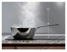 Electrolux LFG719R Be&eacute;p&iacute;thető p&aacute;raelsz&iacute;v&oacute; Konyhai term&eacute;kek - P&aacute;raelsz&iacute;v&oacute; - Be&eacute;p&iacute;thető / kih&uacute;zhat&oacute; - 533304