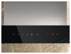 Electrolux LFT826X dekorat&iacute;v be&eacute;p&iacute;thető p&aacute;raelsz&iacute;v&oacute; Konyhai term&eacute;kek - P&aacute;raelsz&iacute;v&oacute; - Be&eacute;p&iacute;thető / kih&uacute;zhat&oacute; - 533314