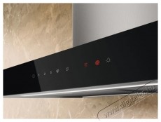 Electrolux LFT826X dekorat&iacute;v be&eacute;p&iacute;thető p&aacute;raelsz&iacute;v&oacute; Konyhai term&eacute;kek - P&aacute;raelsz&iacute;v&oacute; - Be&eacute;p&iacute;thető / kih&uacute;zhat&oacute; - 533314