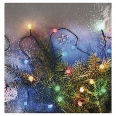 Emos D5AM05 8m/80LED/kül-beltéri/többszínű/golyók karácsonyi LED fényfüzér Háztartás / Otthon / Kültér - Világítás / elektromosság - Led szalag / fényfüzér - 456639