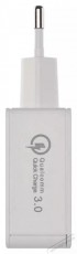 Emos quick 3A univerzális USB töltő Akkuk és töltők - Li-ion akkumulátor és töltő (gyári) - Töltő / hálózati adapter - 456257