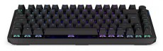 ENDORFY Thock 75% HU Kailh Box Black Switch vezeték nélküli billentyűzet Iroda és számítástechnika - Billentyűzet / billentyűzet szett - Vezeték nélküli - 508873