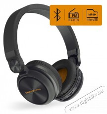 Energy Sistem EN 448890 Urban 2 Radio Bluetooth grafit fejhallgató Audio-Video / Hifi / Multimédia - Fül és Fejhallgatók - Fejhallgató - 385174