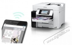 Epson L6580 EcoTank T&ouml;bbfunkci&oacute;s tintasugaras sz&iacute;nes nyomtat&oacute;, A4, ADF, vezet&eacute;k n&eacute;lk&uuml;li Iroda &eacute;s sz&aacute;m&iacute;t&aacute;stechnika - Nyomtat&oacute; - Multifunkci&oacute;s (tintasugaras) - 532541