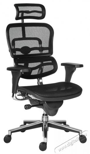 Ergohuman ergonomikus főnöki forgószék Háztartás / Otthon / Kültér - Egyéb háztartási termék - 325581
