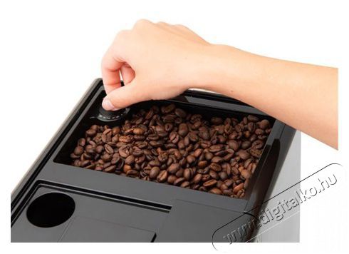 ETA Espresso Acorto 9180 90000 Konyhai term&eacute;kek - K&aacute;v&eacute;főző / k&aacute;v&eacute;&ouml;rlő / kieg&eacute;sz&iacute;tő - Automata k&aacute;v&eacute;főző - 503680