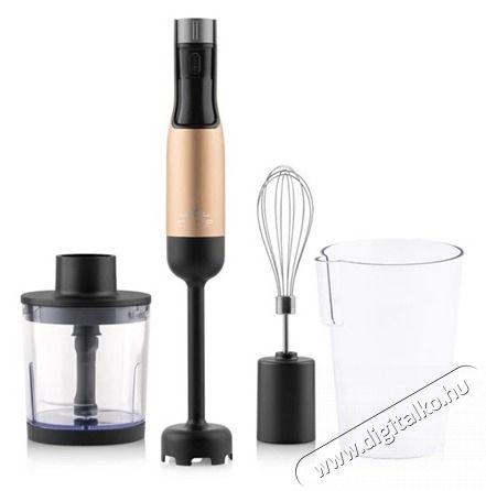 ETA 321990020 BOTMIXER SZETT 1000 W LCD KIJELZŐVEL Konyhai term&eacute;kek - Konyhai kisg&eacute;p (elők&eacute;sz&iacute;t&eacute;s / feldolgoz&aacute;s) - Botmixer - 506760