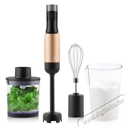 ETA 321990020 BOTMIXER SZETT 1000 W LCD KIJELZŐVEL Konyhai term&eacute;kek - Konyhai kisg&eacute;p (elők&eacute;sz&iacute;t&eacute;s / feldolgoz&aacute;s) - Botmixer - 506760