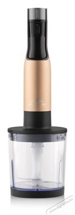 ETA 321990020 BOTMIXER SZETT 1000 W LCD KIJELZŐVEL Konyhai term&eacute;kek - Konyhai kisg&eacute;p (elők&eacute;sz&iacute;t&eacute;s / feldolgoz&aacute;s) - Botmixer - 506760