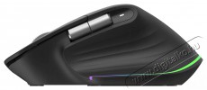 Eternico Wireless Mouse MS510 - fekete-szürke Iroda és számítástechnika - Egér - Vezeték nélküli egér - 503346