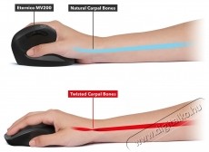 Eternico Wireless 2.4 GHz Vertical Mouse MV200 - fekete Iroda &eacute;s sz&aacute;m&iacute;t&aacute;stechnika - Eg&eacute;r - Vezet&eacute;k n&eacute;lk&uuml;li eg&eacute;r - 535178