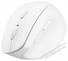 Eternico Wireless Vertical Mouse MVS490, feh&eacute;r Iroda &eacute;s sz&aacute;m&iacute;t&aacute;stechnika - Eg&eacute;r - Vezet&eacute;k n&eacute;lk&uuml;li eg&eacute;r - 535183
