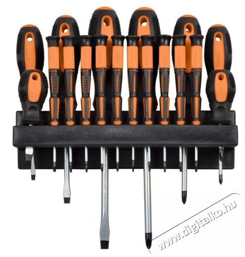 Fieldmann FDS 5001-18R Csavarhúzó készlet Háztartás / Otthon / Kültér - Szerszám - Csavarhúzó / kulcs / fúró / szerszám készlet - 277709