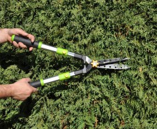 Fieldmann FZNR 1021 teleszkópos sövényvágó Háztartás / Otthon / Kültér - Kültér / kerti termék / grill - Kültéri / kerti szerszám - 298036