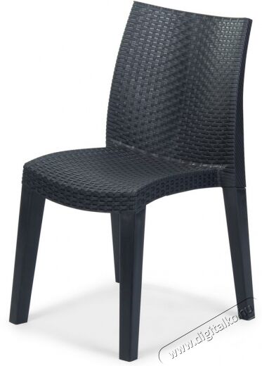 Fieldmann FDZN 3020 kerti szék Háztartás / Otthon / Kültér - Kültér / kerti termék / grill - Kerti bútor - 362286