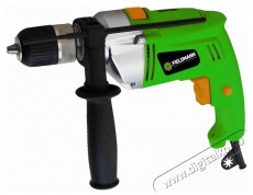 Fieldmann FDV 200751-E ütvefúró Háztartás / Otthon / Kültér - Szerszám - Fúró / fúrókalapács - 376054