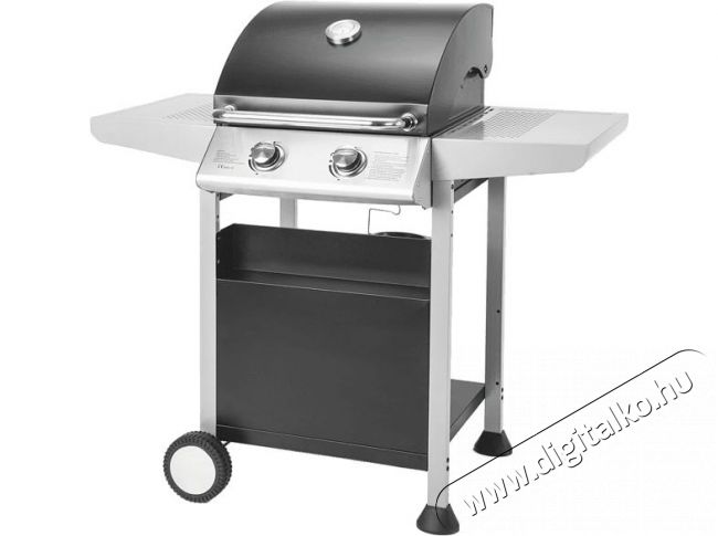 Fieldmann FZG 3102 Gáz grillsütő 2 égős Háztartás / Otthon / Kültér - Kültér / kerti termék / grill - Kerti grill - 375963