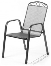 Fieldmann FDZN 5305 Acél Kerti szék Háztartás / Otthon / Kültér - Kültér / kerti termék / grill - Kerti bútor - 403724