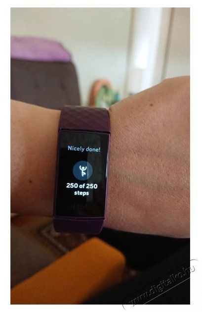Fitbit FB417BKBK Charge 4 (NFC) fekete aktivit&aacute;sm&eacute;rő karp&aacute;nt Mobil / Kommunik&aacute;ci&oacute; / Smart - Mobiltelefon kieg&eacute;sz&iacute;tő / tok - &Ouml;vt&aacute;ska / karp&aacute;nt fut&aacute;shoz - 434024