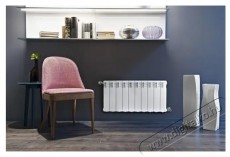 Fondital Alum&iacute;nium radi&aacute;tor Exclusivo 350, 10 elem H&aacute;ztart&aacute;s / Otthon / K&uuml;lt&eacute;r - Fűt&eacute;s - Fali fűtőtest - 536527