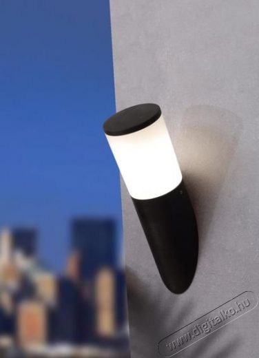 Fumagalli AMELIA WALL LED 8W 2,7K E27 kültéri falilámpa - fekete (DR2.570.000.AYM1R) Háztartás / Otthon / Kültér - Világítás / elektromosság - Kerti / kültéri lámpa - 369501