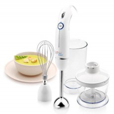Gallet MIX329 botmixer Konyhai termékek - Konyhai kisgép (előkészítés / feldolgozás) - Botmixer - 293371
