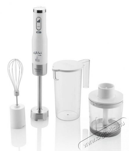 Gallet MIX535 botmixer Konyhai termékek - Konyhai kisgép (előkészítés / feldolgozás) - Botmixer - 343079