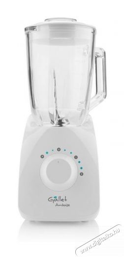 Gallet MT190 BOTMIXER Konyhai term&eacute;kek - Konyhai kisg&eacute;p (elők&eacute;sz&iacute;t&eacute;s / feldolgoz&aacute;s) - Botmixer - 343083