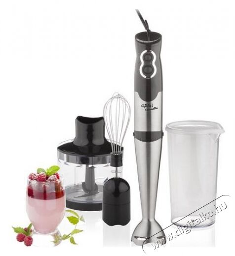 Gallet MIX435 botmixer szett Konyhai termékek - Konyhai kisgép (előkészítés / feldolgozás) - Botmixer - 285203
