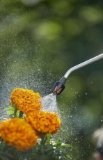 Gardena 11130-20 Comfort nyomáspermetező - 5L Háztartás / Otthon / Kültér - Kültér / kerti termék / grill - Permetezőgép - 365545