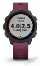 Garmin 010-02120-11 okos&oacute;ra Mobil / Kommunik&aacute;ci&oacute; / Smart - Okos eszk&ouml;z - Okos&oacute;ra - 381574