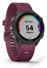 Garmin 010-02120-11 okos&oacute;ra Mobil / Kommunik&aacute;ci&oacute; / Smart - Okos eszk&ouml;z - Okos&oacute;ra - 381574