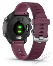 Garmin 010-02120-11 okos&oacute;ra Mobil / Kommunik&aacute;ci&oacute; / Smart - Okos eszk&ouml;z - Okos&oacute;ra - 381574