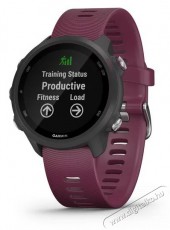Garmin 010-02120-11 okos&oacute;ra Mobil / Kommunik&aacute;ci&oacute; / Smart - Okos eszk&ouml;z - Okos&oacute;ra - 381574