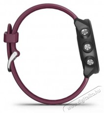 Garmin 010-02120-11 okos&oacute;ra Mobil / Kommunik&aacute;ci&oacute; / Smart - Okos eszk&ouml;z - Okos&oacute;ra - 381574