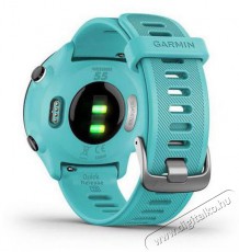 Garmin Forerunner 55 Aqua Mobil / Kommunikáció / Smart - Okos eszköz - Okosóra - 522747
