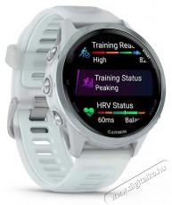 Garmin Forerunner 570 42mm Whitestone Mobil / Kommunikáció / Smart - Okos eszköz - Okosóra - 522753