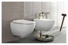 Geberit Acanto 502.718.00.1 fali WC-szett WC-&uuml;l&eacute;ssel, f&uuml;ggőleges &ouml;bl&iacute;t&eacute;ssel, z&aacute;rt forma, TurboFlush, ker&aacute;mia, feh&eacute;r H&aacute;ztart&aacute;s / Otthon / K&uuml;lt&eacute;r - F&uuml;rdőszoba / wc - Kieg&eacute;sz&iacute;tő - 536606