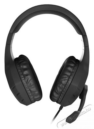 Genesis Argon 200 2.0 fekete gamer headset Audio-Video / Hifi / Multim&eacute;dia - F&uuml;l &eacute;s Fejhallgat&oacute;k - Fejhallgat&oacute; mikrofonnal / headset - 477832
