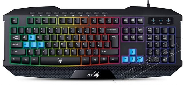 Genius Scorpion K215 billentyűzet Iroda és számítástechnika - Billentyűzet / billentyűzet szett - Vezetékes - 311678