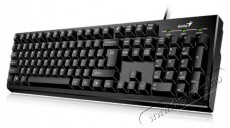 Genius KB-101 HUN USB Smart billentyűzet - fekete  Iroda és számítástechnika - Billentyűzet / billentyűzet szett - Vezetékes - 379600